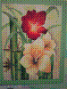 flower show2004 078.jpg